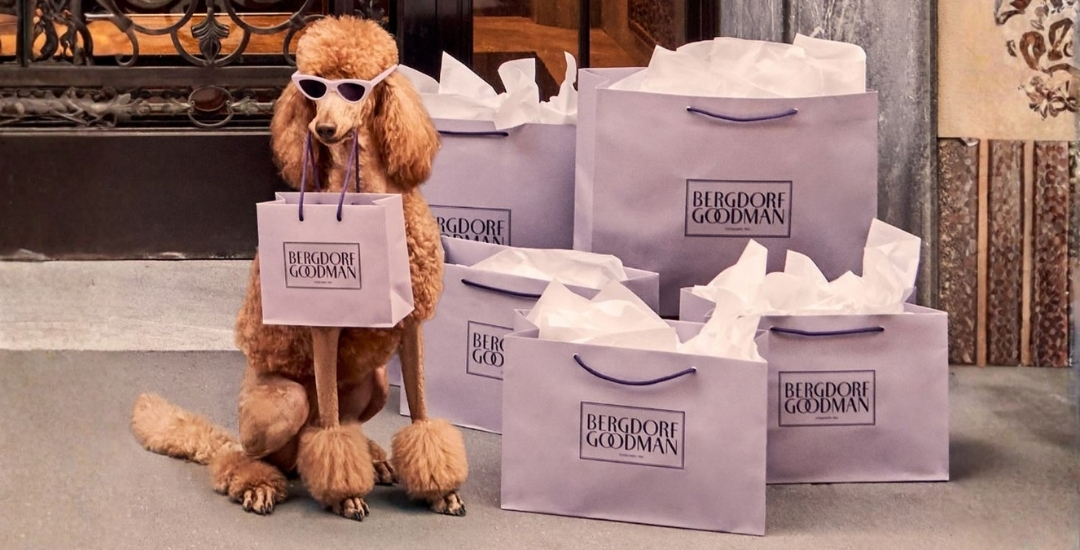 Tienda y veterinaria Los Leones